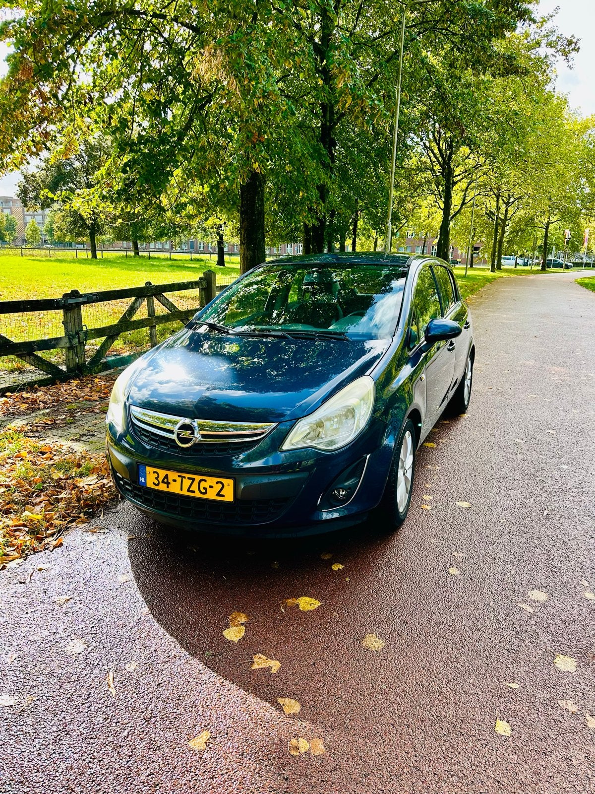 Opel Corsa 1.2 16V 5D 2012 Blauw, Voorwielaandrijving, 1063 kg, Zwart, 4 cilinders