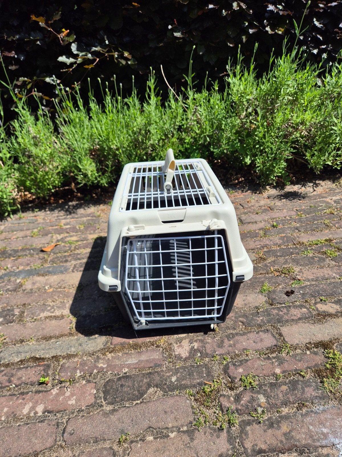 Draagmand voor konijn, poes of knaagdier, Dieren en Toebehoren, Ophalen, Zo goed als nieuw, Transportkoffer of -box