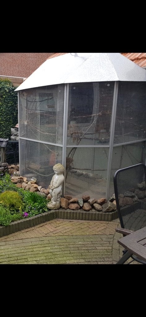 Vogelvoliëre, Ophalen, Gebruikt, Aluminium, Vogelkooi