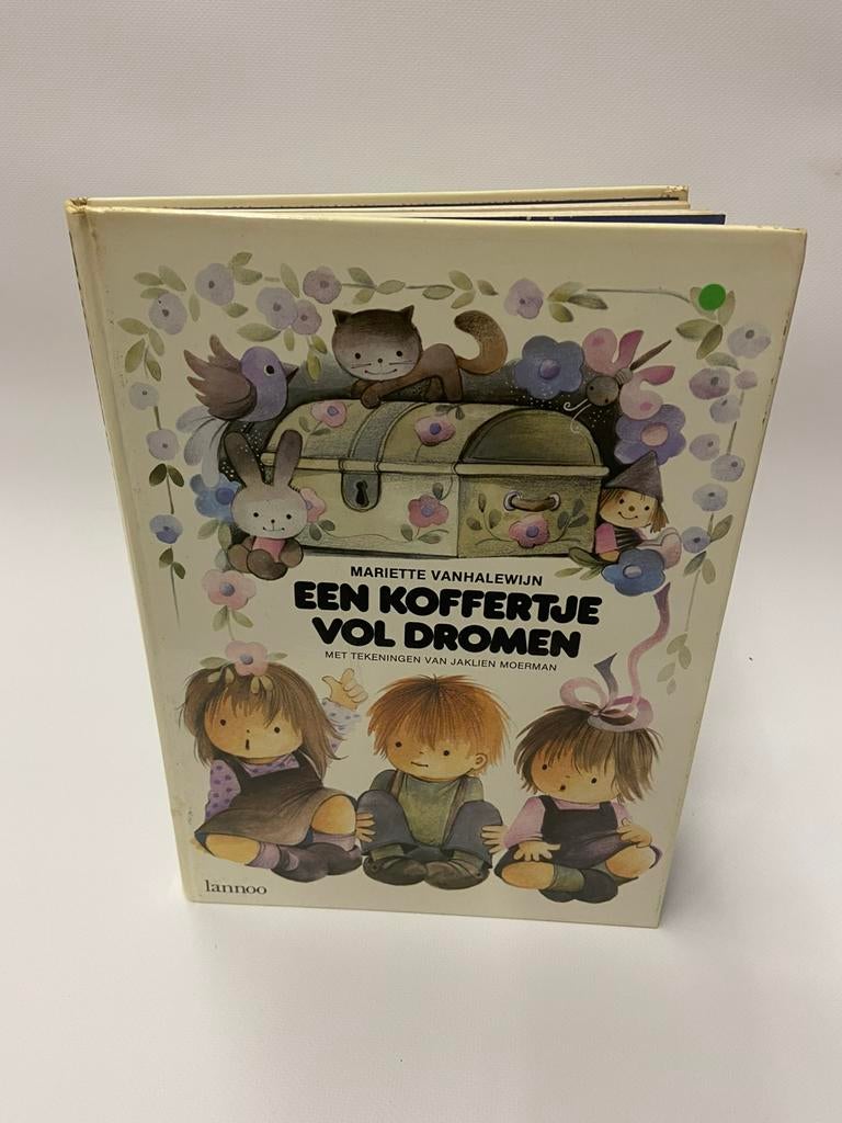 Mariette Vanhalewijn Een Koffertje Vol Dromen, Ophalen of Verzenden, Gelezen, Fictie algemeen