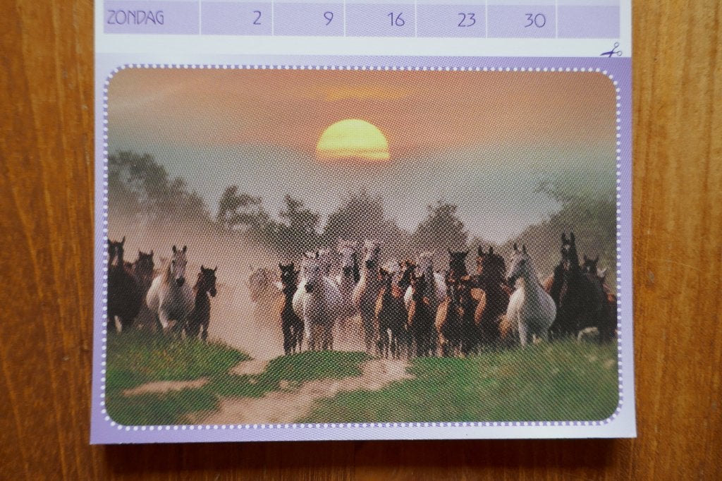 Kalender met ansichten 2005 Nieuw! Paard Pony Merrie Veulen, Ophalen of Verzenden, 1980 tot heden, Ongelopen, Paard