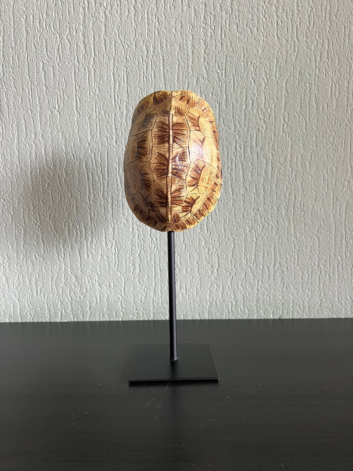 Ornament schildpad schild turtle shell op statief, Ophalen of Verzenden, Nieuw