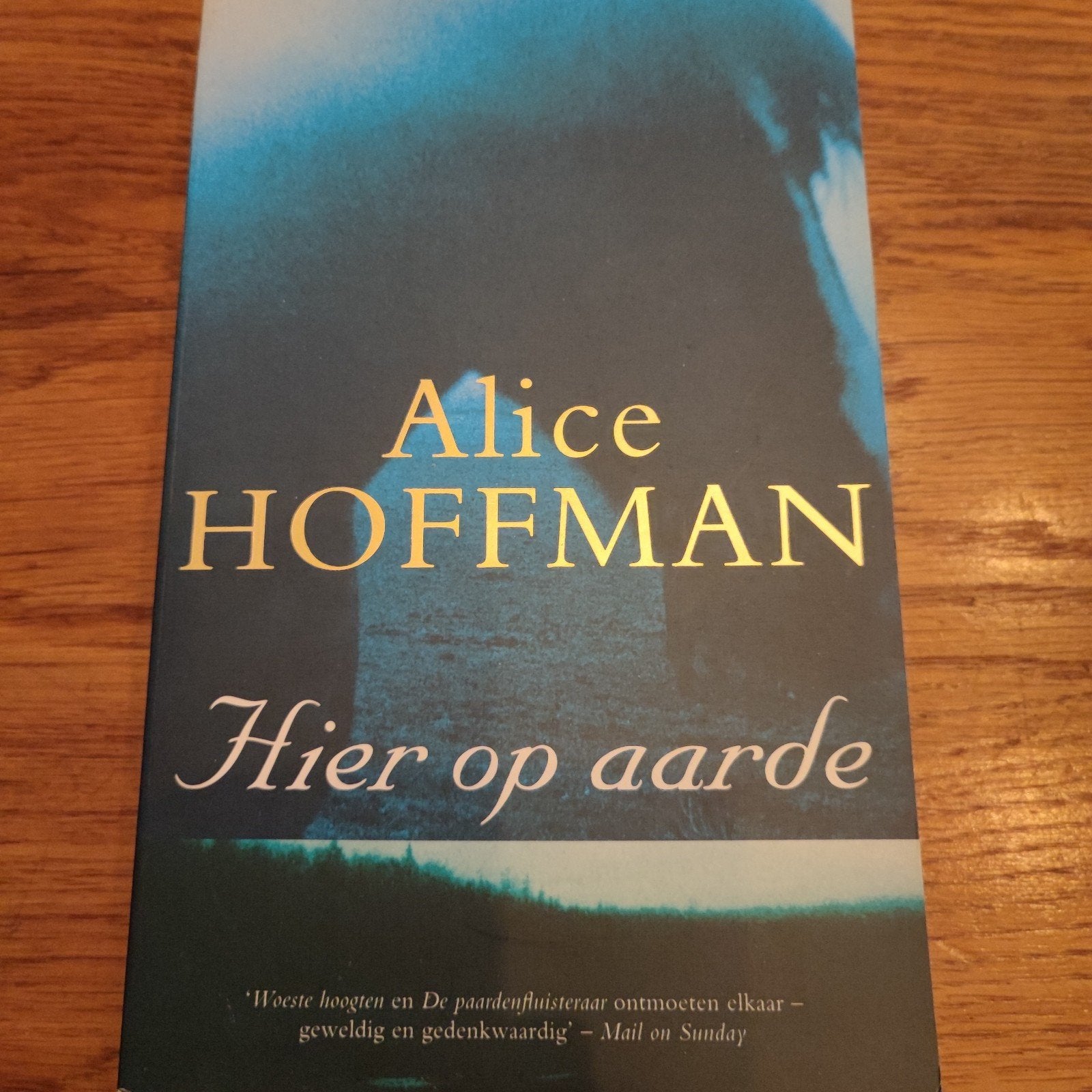Hier op aarde - Alice Hoffman, Ophalen of Verzenden, Gelezen, Alice Hoffman, Nederland