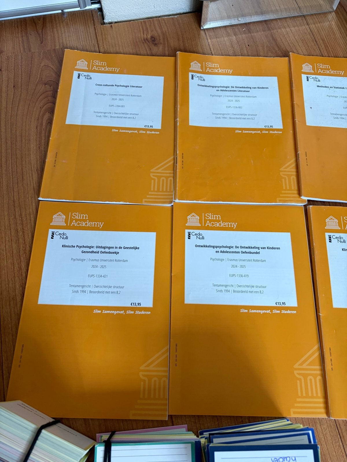 Psychologie jaar 1 EUR aantekeningen, Slim Academy & flashca, Boeken, Ophalen of Verzenden, Gamma, Gelezen, WO