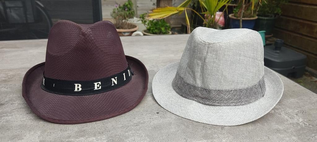 Trilby Hoeden - Bruin en Grijs, Ophalen, Zo goed als nieuw, One size fits all, Hoed