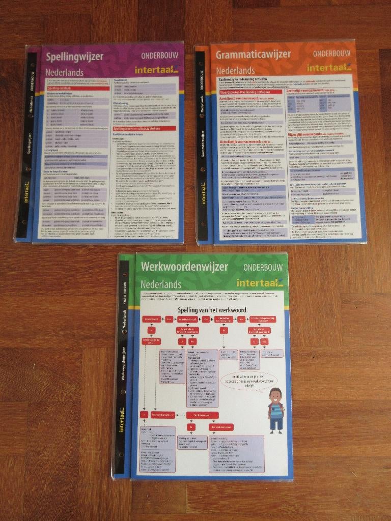 3 x grote kaarten Intertaal NEDERLANDS, Boeken, Ophalen of Verzenden, Gelezen, Overige niveaus, Nederlands