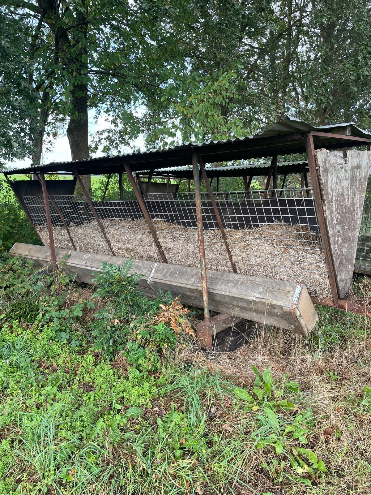 Degelijke hooiruiven - weiden, Dieren en Toebehoren, Opfok