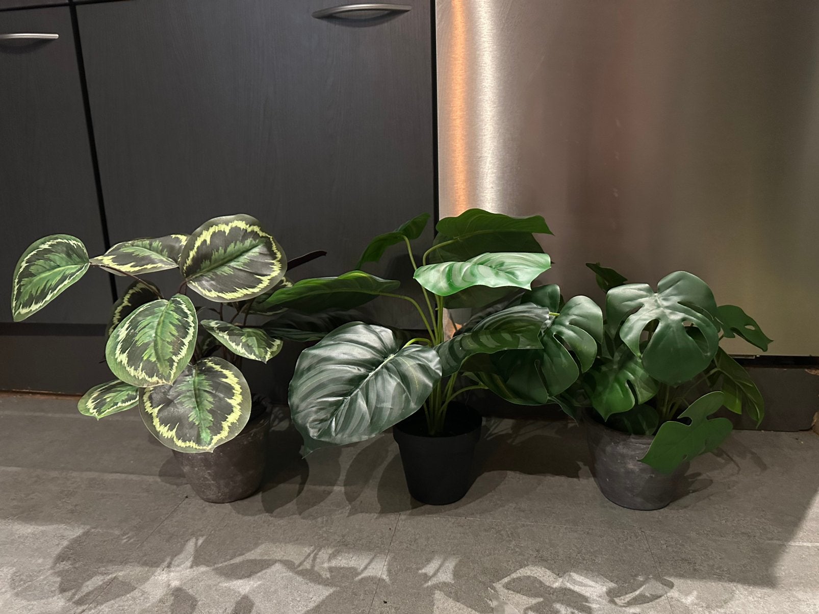 Nep planten met pot, Ophalen, Overige soorten, Halfschaduw, In pot