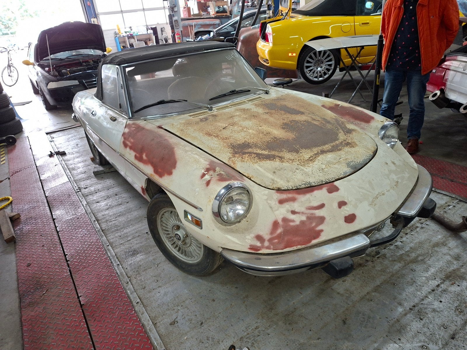 Te koop oldtimer Alfa spider project., foto 3