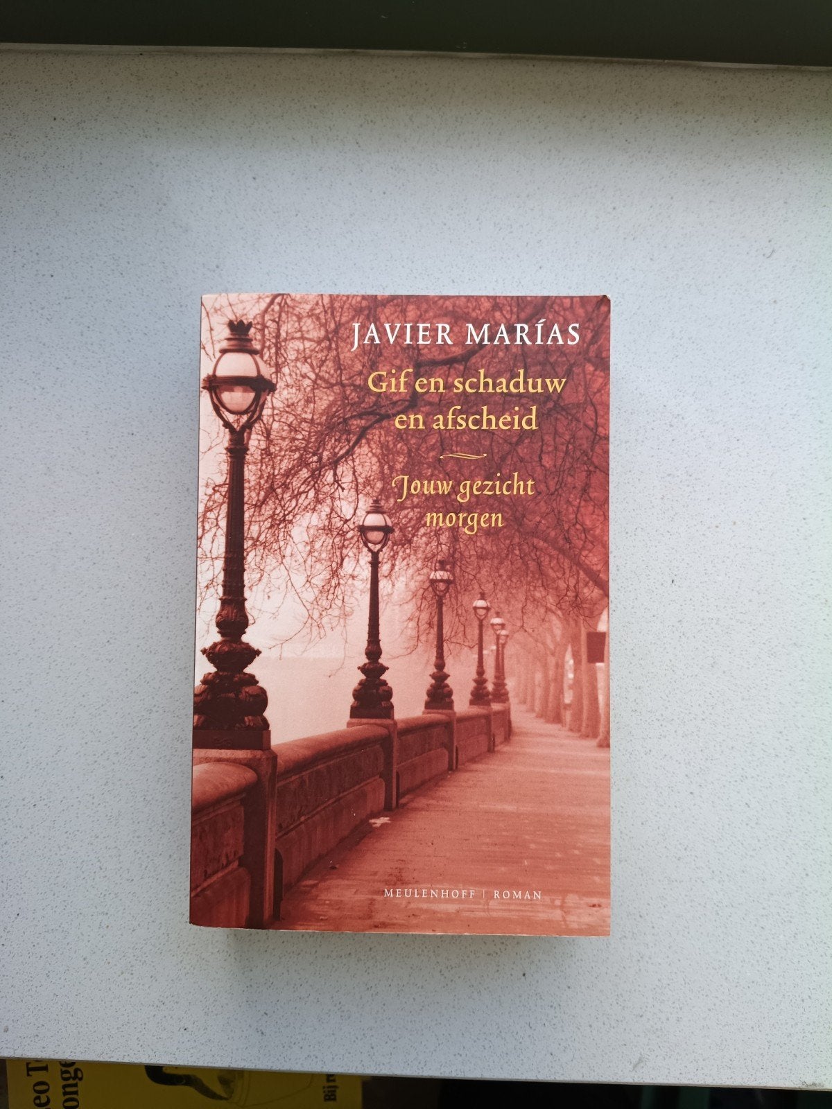 Gif en Schaduw en Afscheid - Javier Marías, Boeken, Ophalen of Verzenden, Gelezen