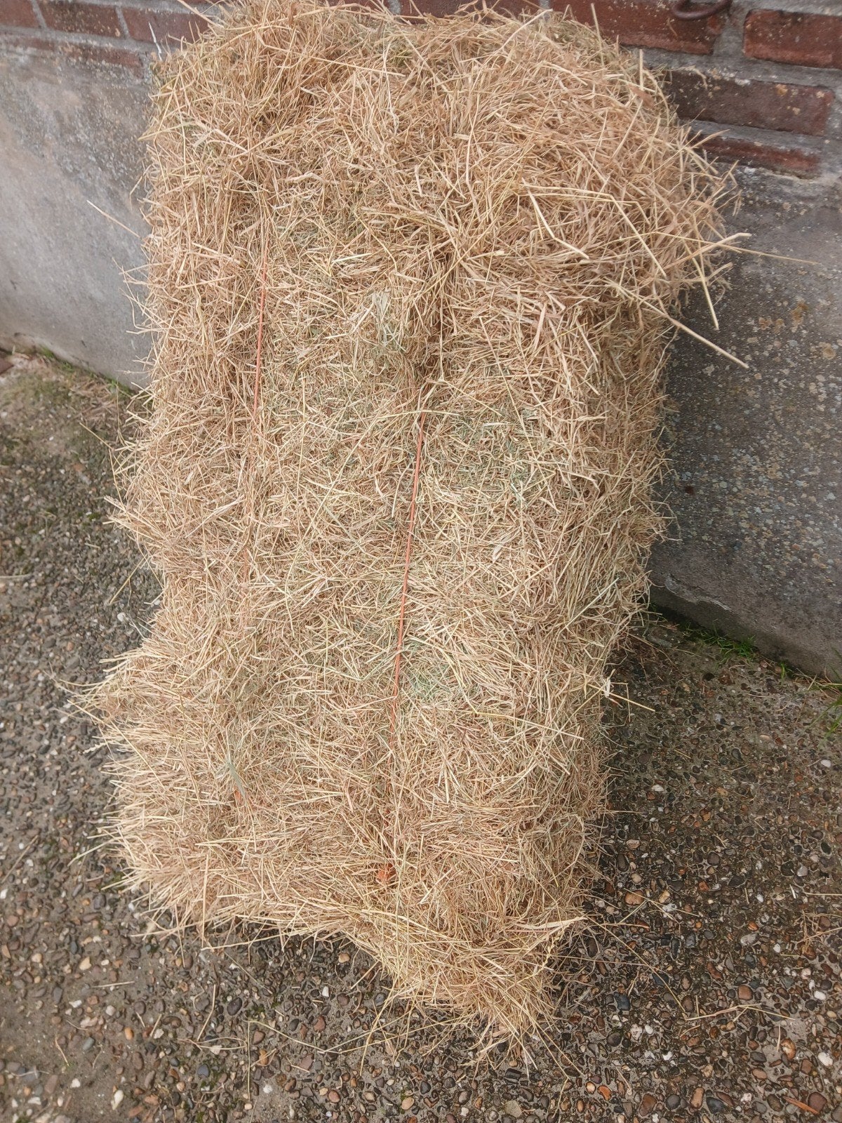 hooibalen te koop., Ophalen, Vee