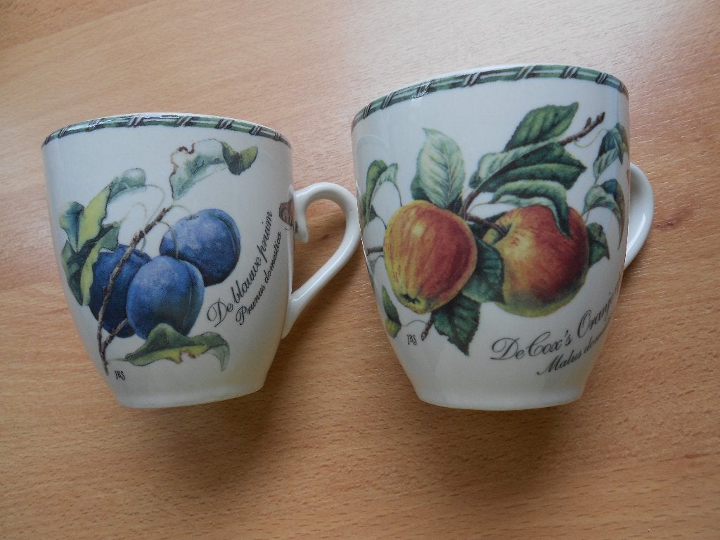 2 JBS Janneke Brinkman bekers Botania, Ophalen, Gebruikt, Overige typen, Overige stijlen