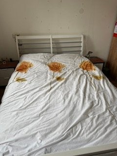 bed, Ophalen, Gebruikt, Eenpersoons, Wit