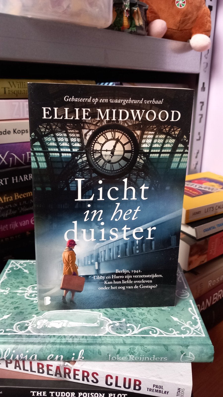 Licht in het duister - Ellie Midwood, Ophalen of Verzenden, Zo goed als nieuw, Ellie Midwood, Nederland