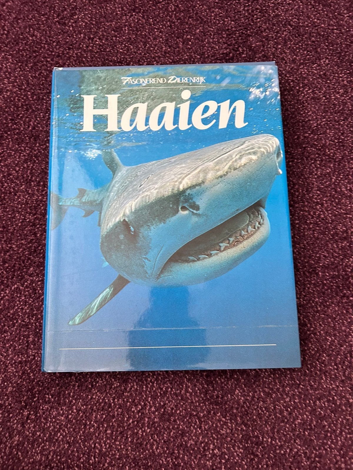 Haaien, Ophalen of Verzenden, Zo goed als nieuw