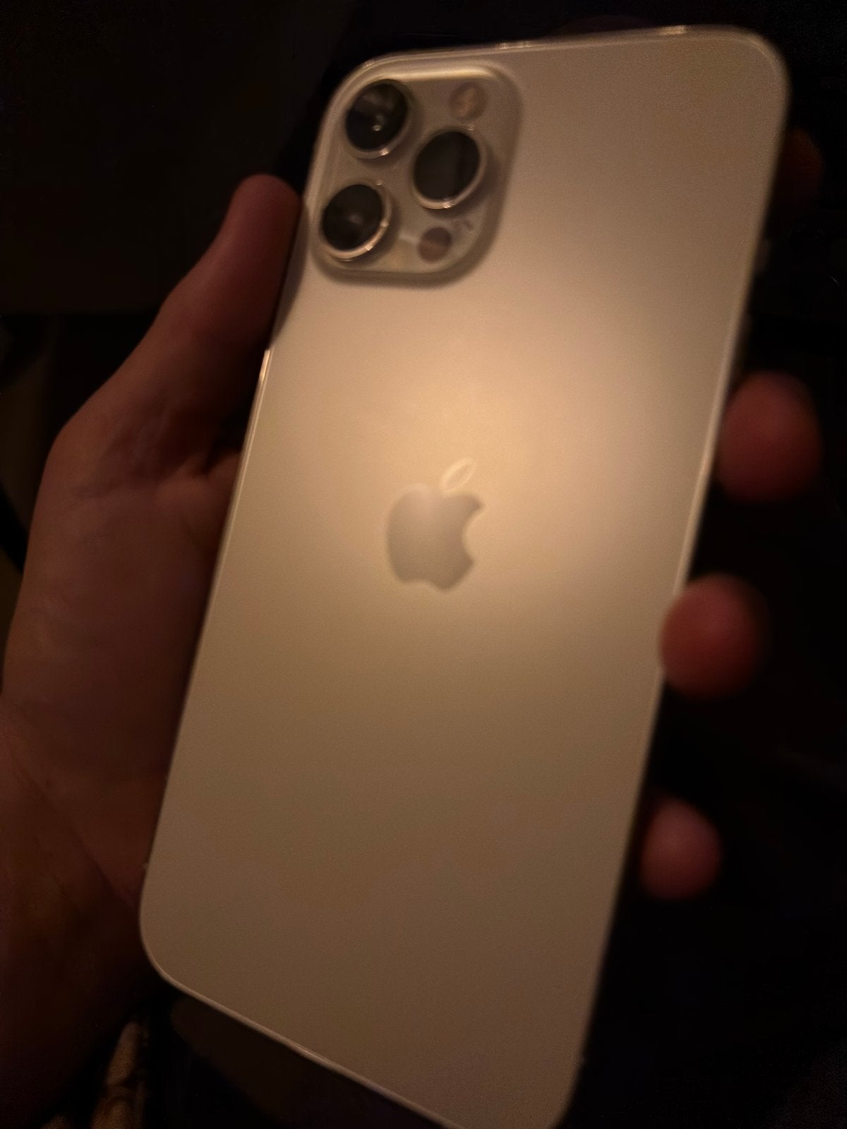 Apple iPhone 12 Pro Max Zilver 256GB - Goede staat, Telecommunicatie, Mobiele telefoons | Apple iPhone, 256 GB, 83 %, Zo goed als nieuw