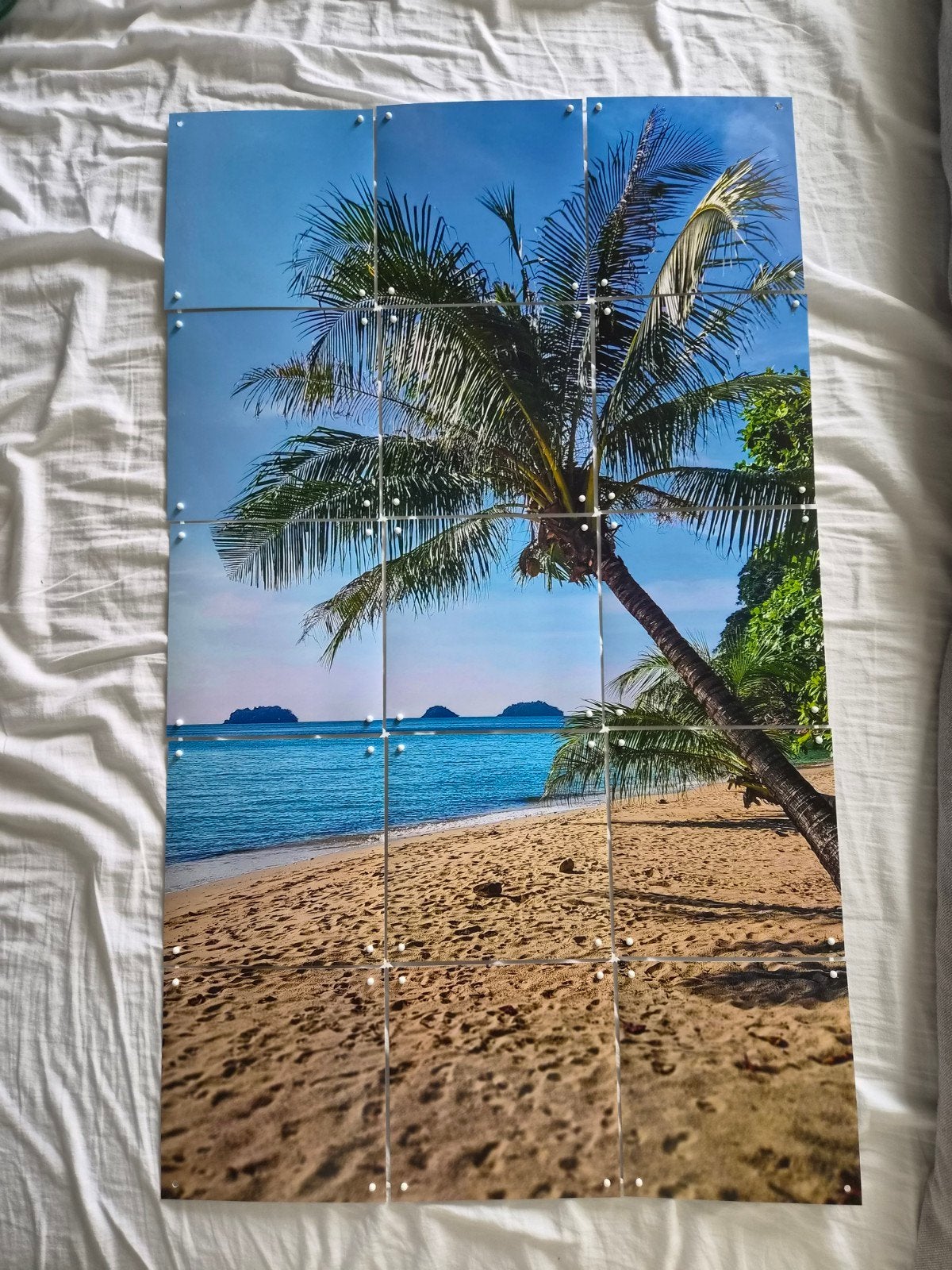 poster palmboom, Ophalen, Decoratieobject, Zo goed als nieuw, 75 cm