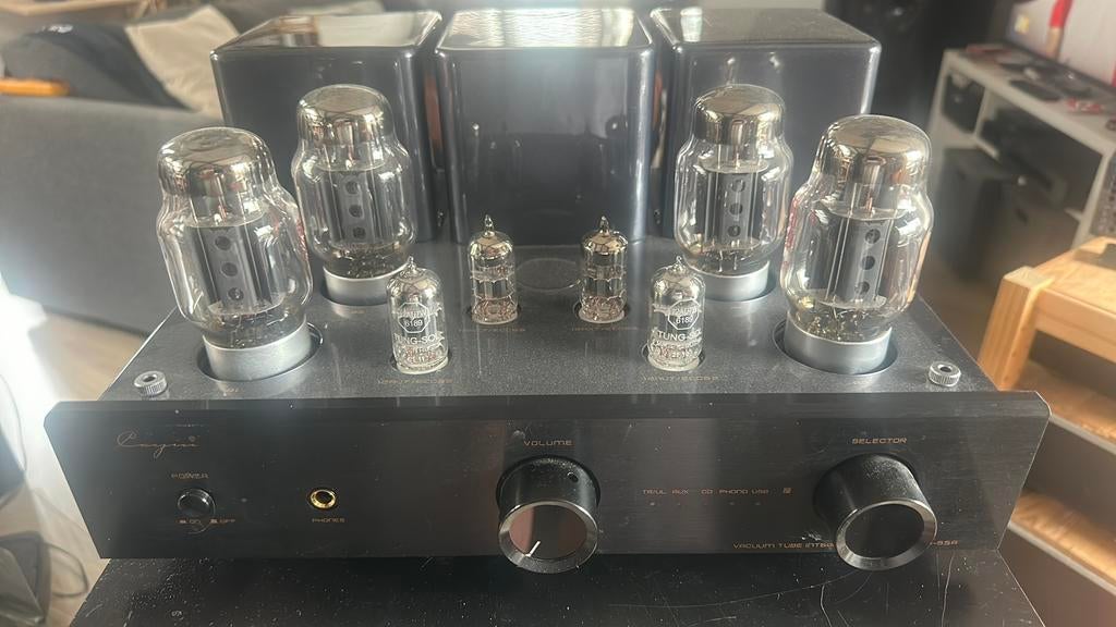 Cayin CS-55 buizenversterker, Ophalen, Versterker