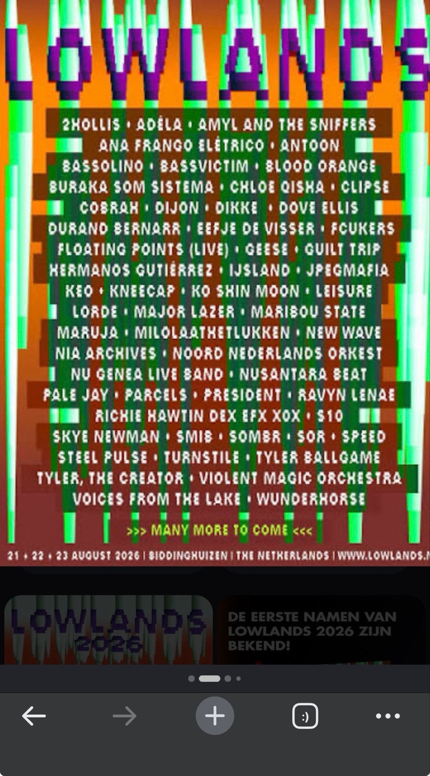 Lowlands ticket gezocht- zondag!