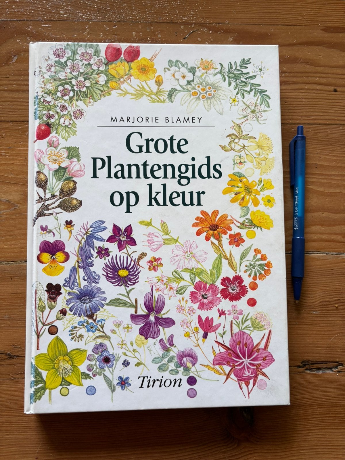 M. Blamey - Grote plantengids op kleur, Ophalen of Verzenden, Gelezen, M. Blamey