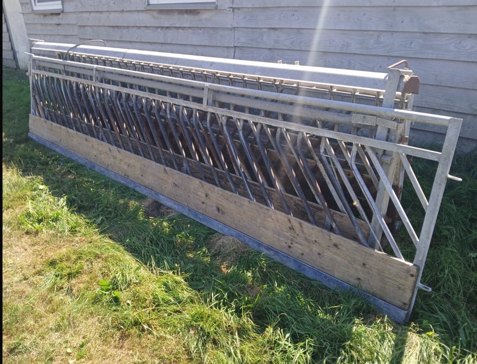 Voerhekken schapen, Meerdere dieren, Schaap