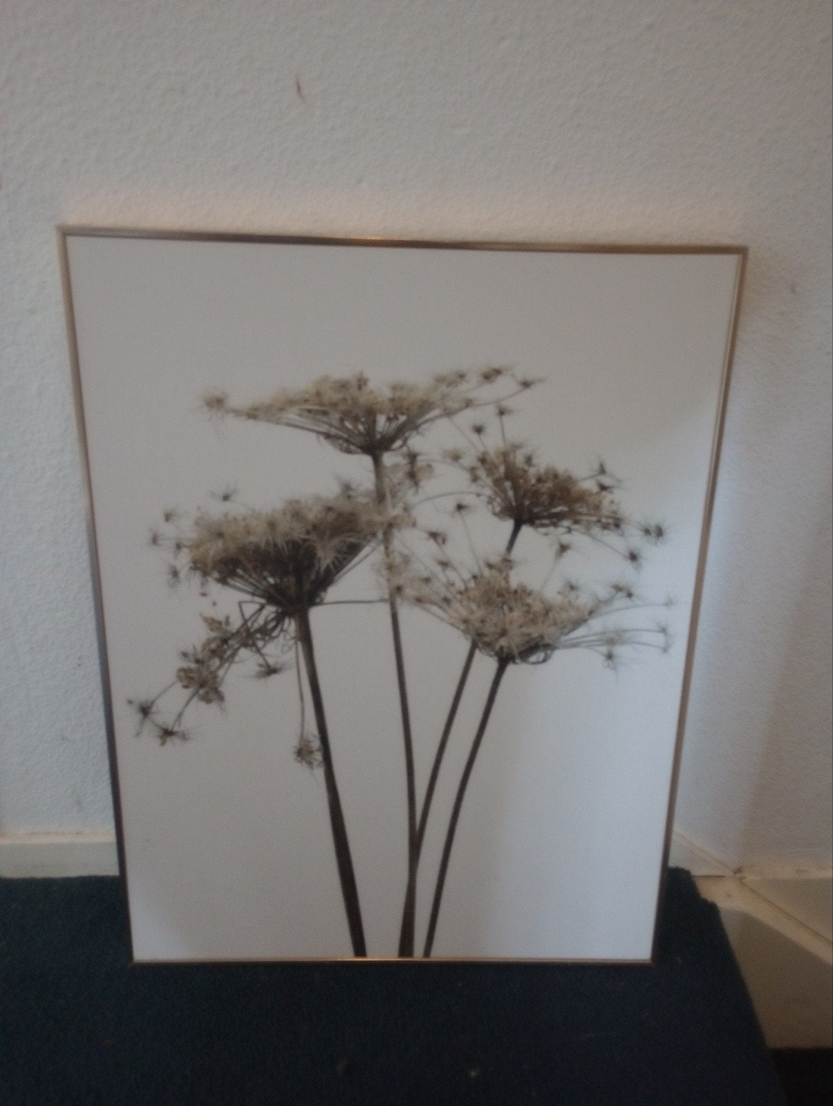 Poster met lijst, Ophalen, Zo goed als nieuw, Foto of Poster, Minder dan 50 cm