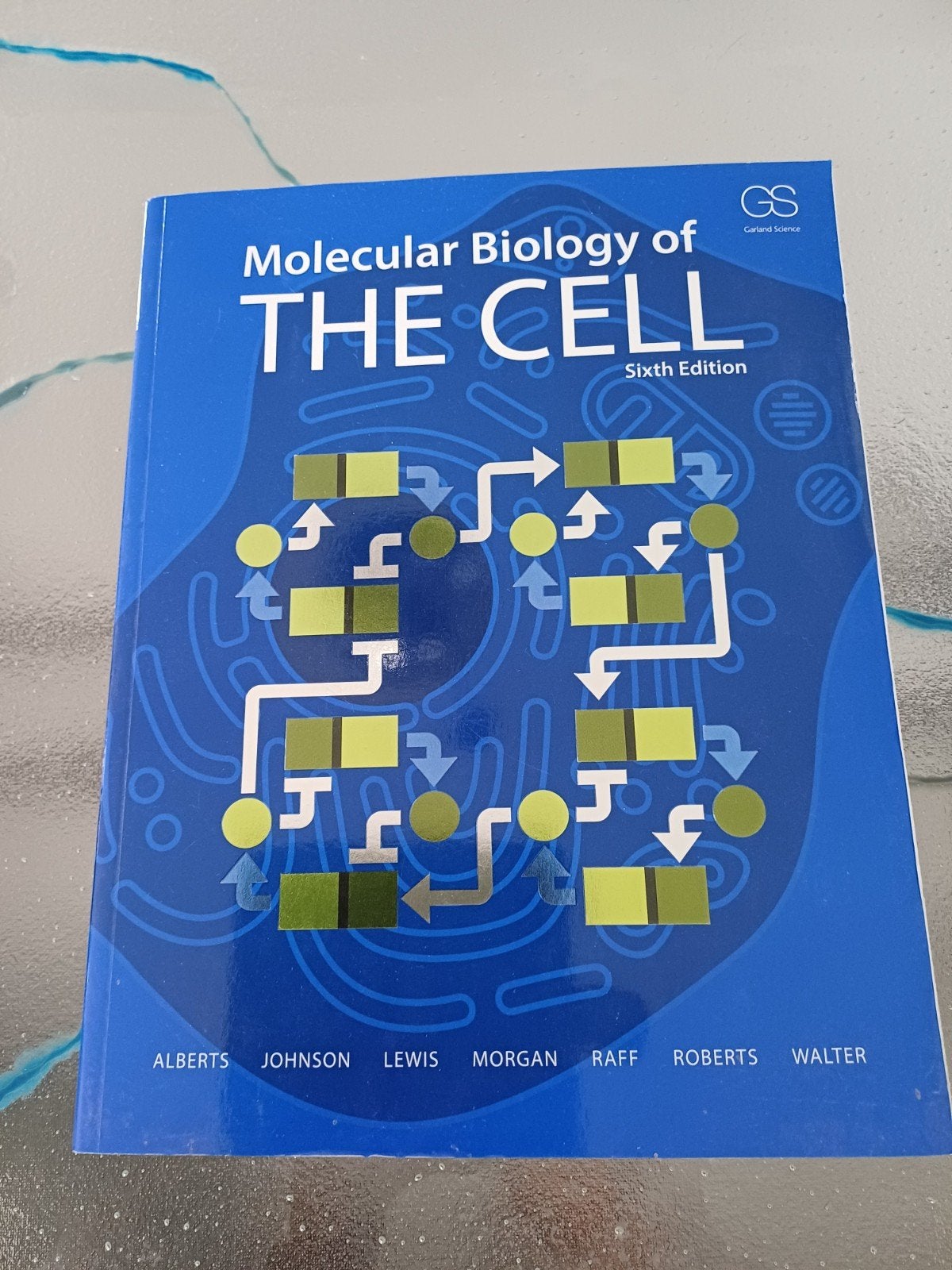 Molecular Biology of THE CELL - Sixth Edition, Boeken, Studieboeken en Cursussen, Alberts, Johnson, Lewis, Morgan, Raff, Roberts, Walter