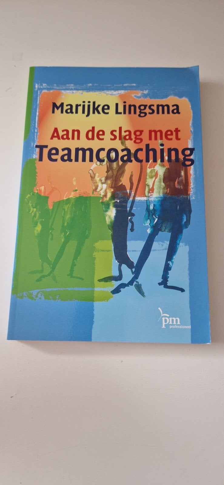 Marijke Lingsma - Aan de slag met Teamcoaching, Boeken, Ophalen of Verzenden