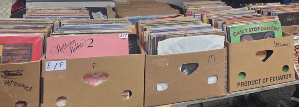 Ruim 4000 LP's: Diverse Genres (Klassiek, NL, DE, EN), Complilatie, Ophalen, Gebruikt, 12 inch