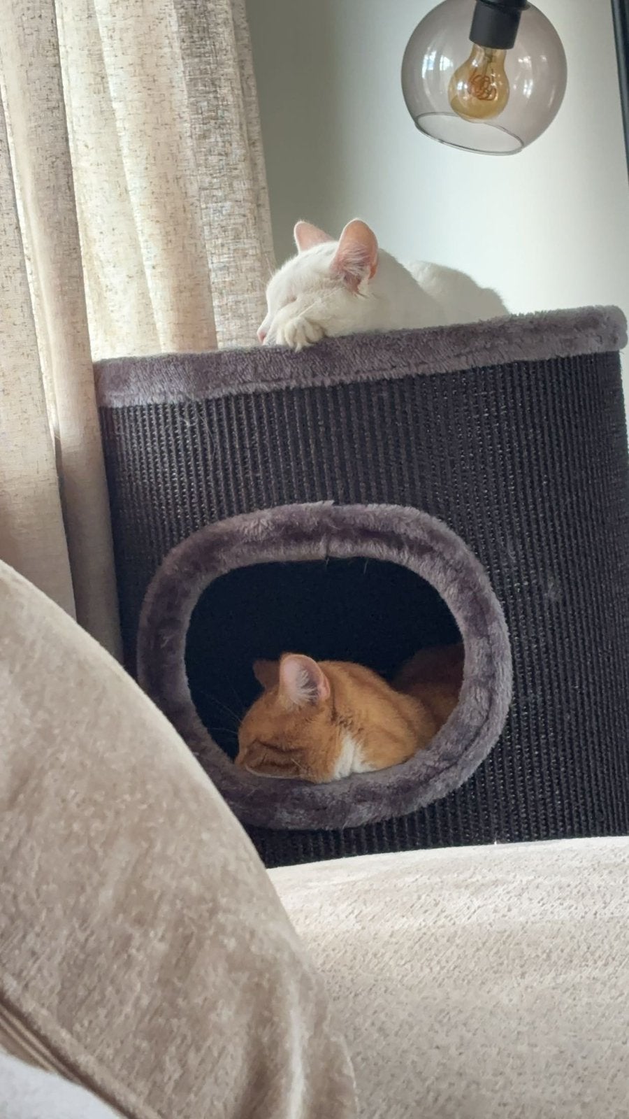 Warm mandje, Dieren en Toebehoren, Katten en Kittens | Overige Katten, Poes