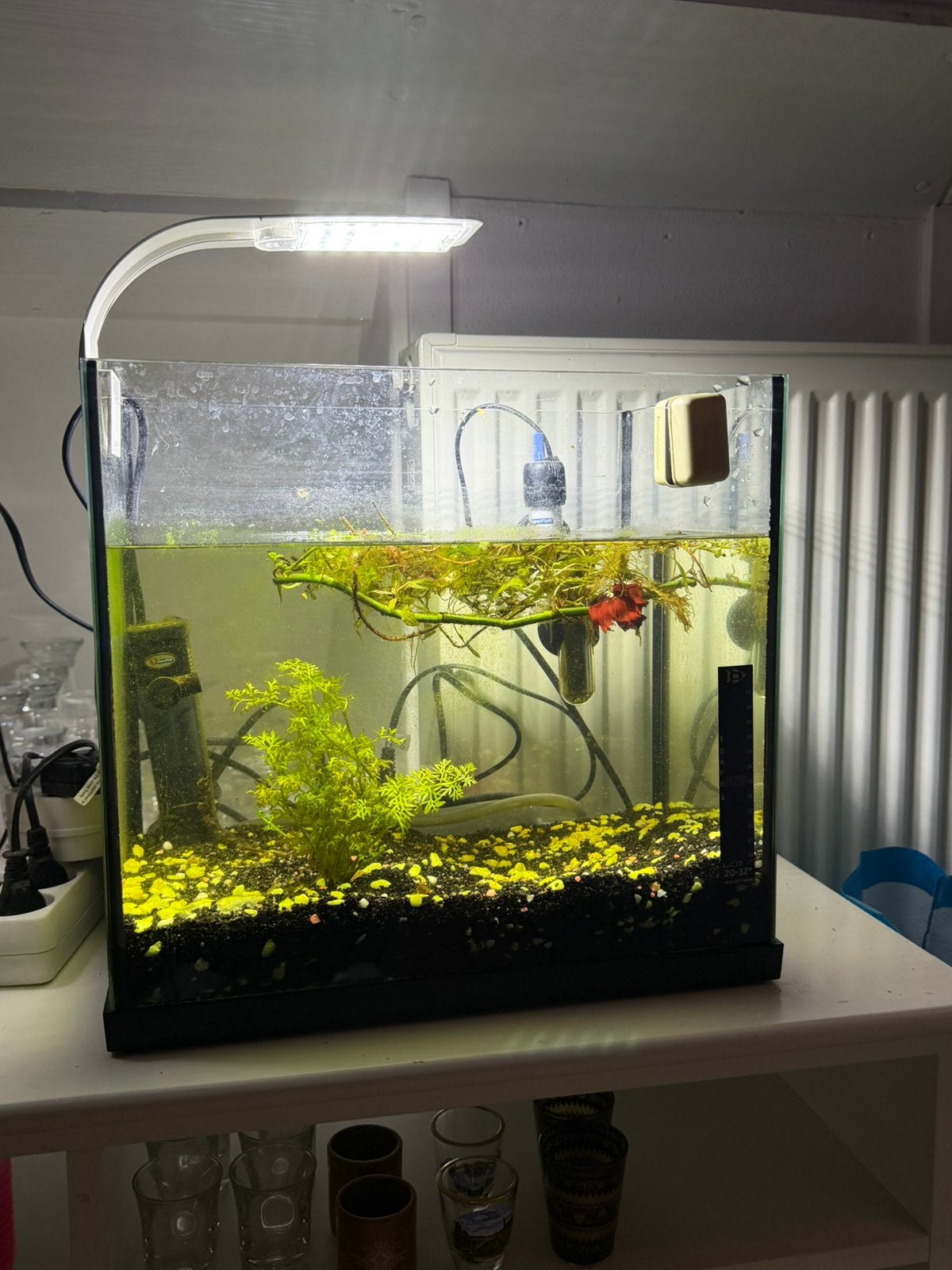 Netjes 20L aquarium, Dieren en Toebehoren, Ophalen, Zo goed als nieuw, Leeg aquarium
