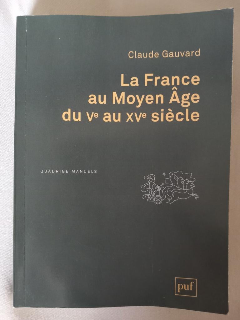 La france au moyen age du Ve au XVe siecle - histoire France, Boeken, Ophalen of Verzenden, Gelezen