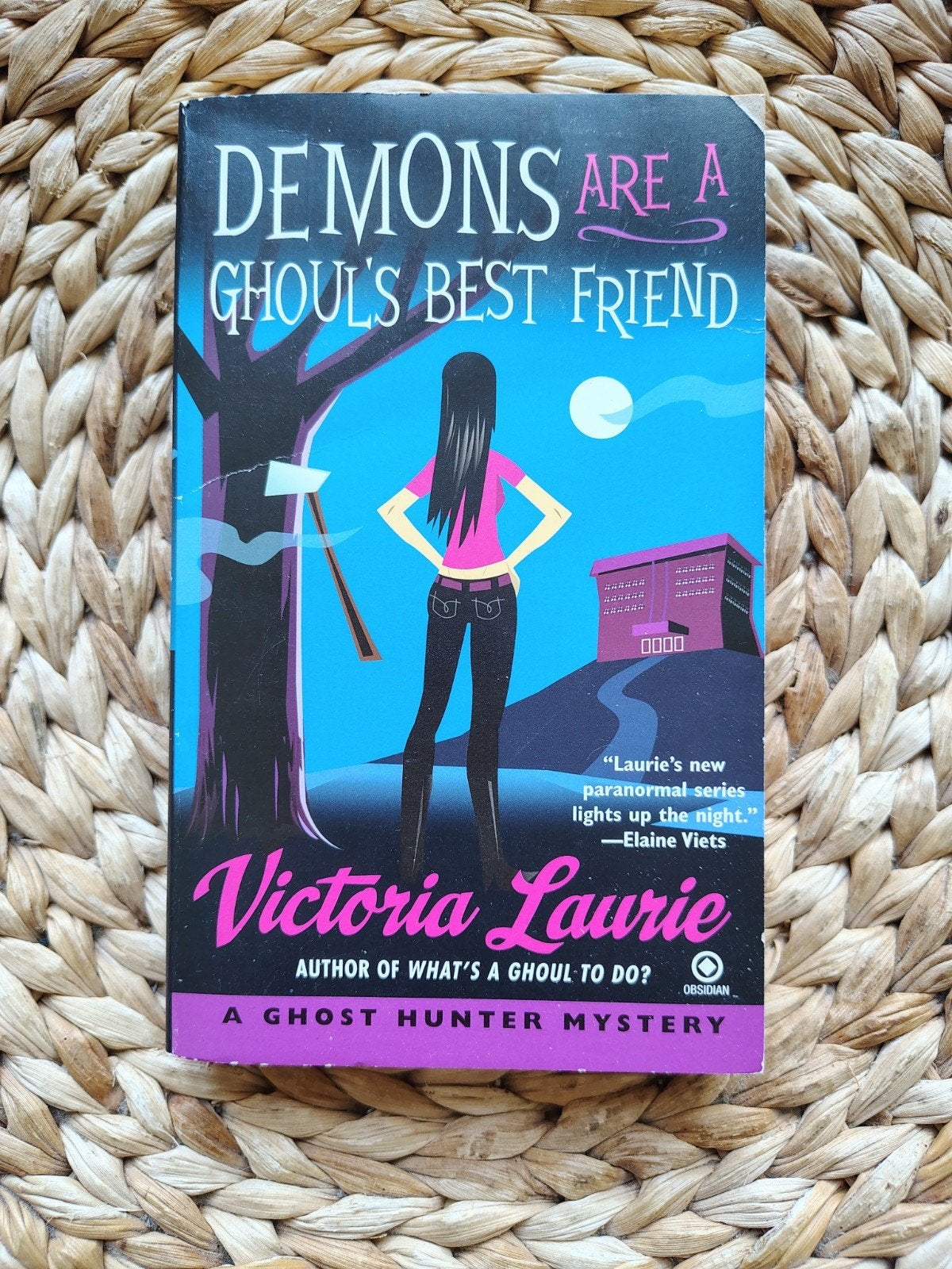 Victoria Laurie - Demons are a Ghoul's Best Friend, Ophalen of Verzenden, Gelezen