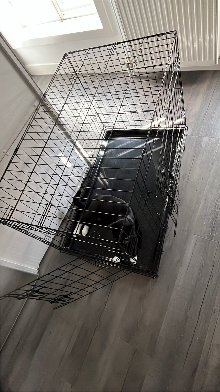 Dog cage, Ophalen, Zo goed als nieuw, 75 tot 110 cm, Minder dan 65 cm