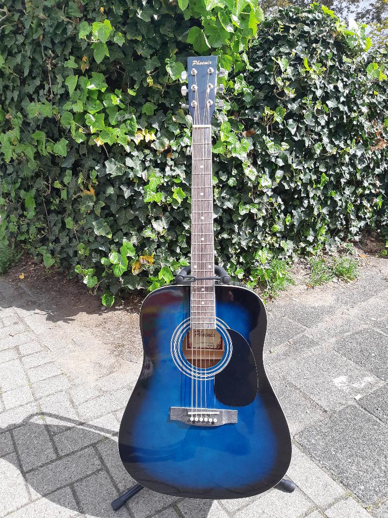 Phoenix western gitaar, Muziek en Instrumenten, Snaarinstrumenten | Gitaren | Akoestisch, Ophalen, Zo goed als nieuw, Western- of Steelstringgitaar