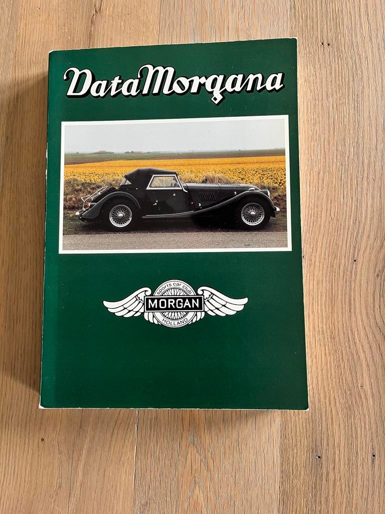DataMorgana en DataMorgana II boeken, Ophalen of Verzenden, Gelezen, Overige merken