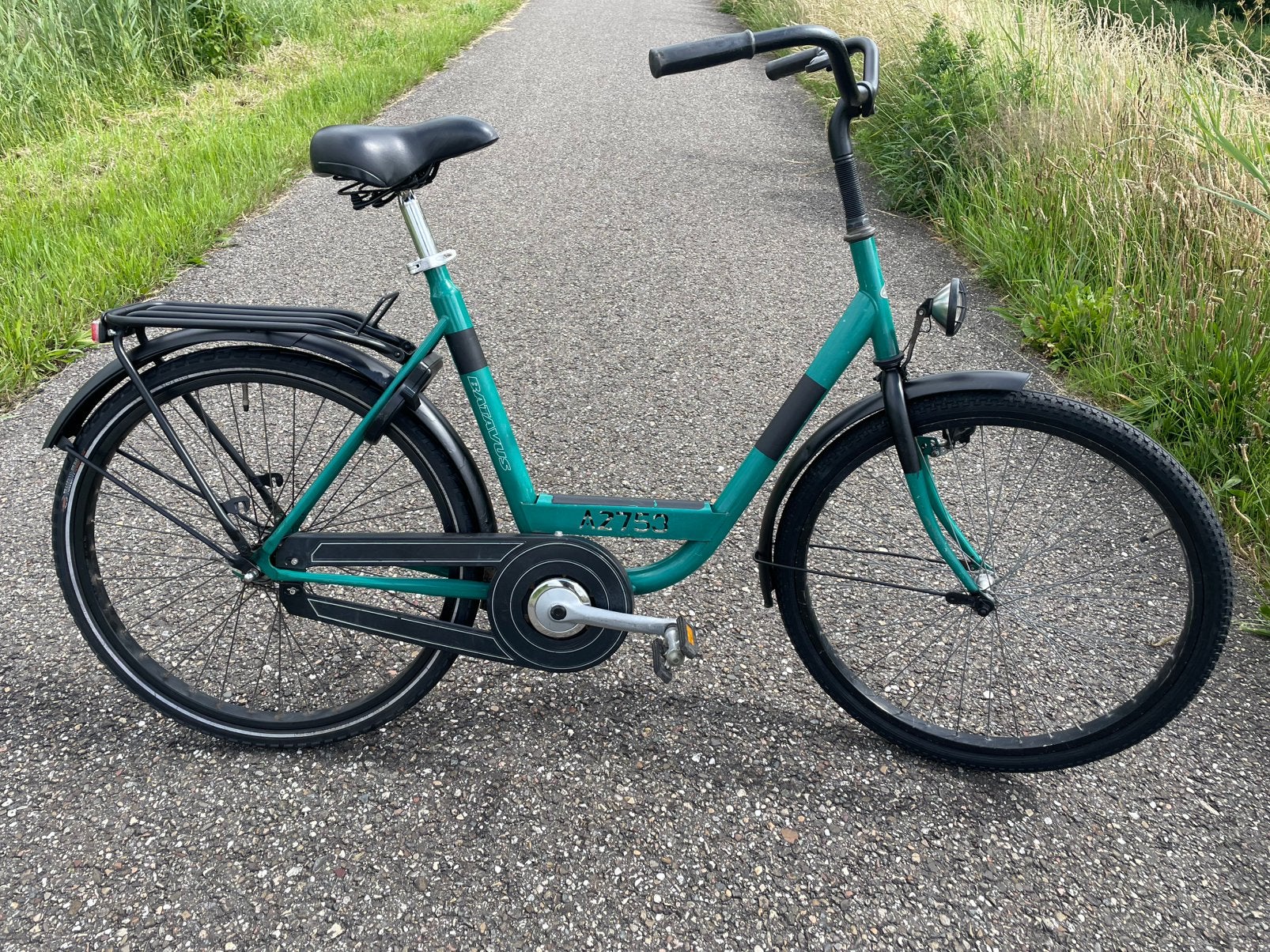 BATAVUS damesfiets 26 inch PERSONAL BIKE fietsklaar, Fietsen en Brommers, 53 tot 56 cm, Ophalen, Gebruikt, Terugtraprem