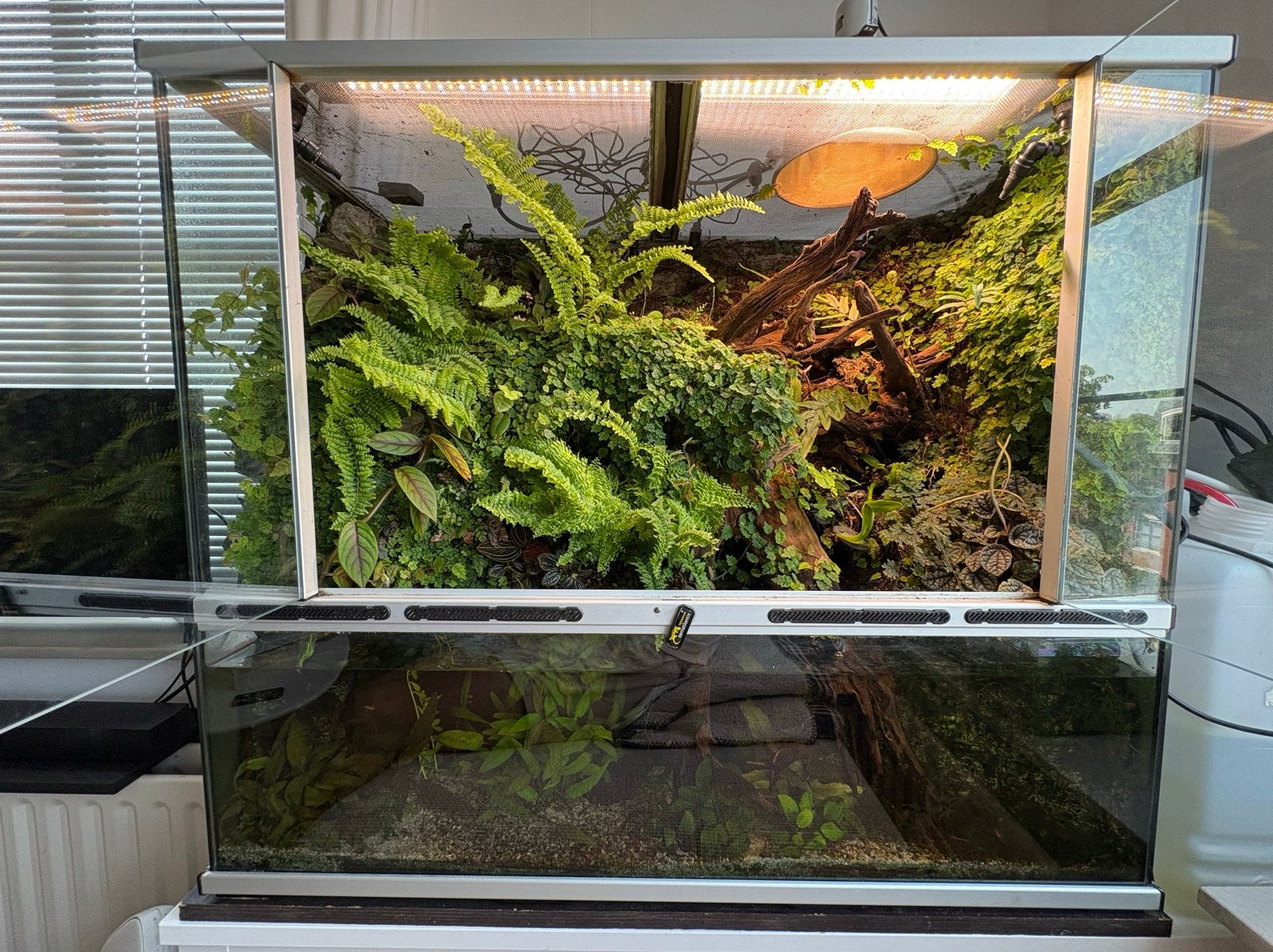 Volledig ingegroeid palludarium 87x74x45, Ophalen, Inclusief planten, Gebruikt, Plant(en), Steen of Hout