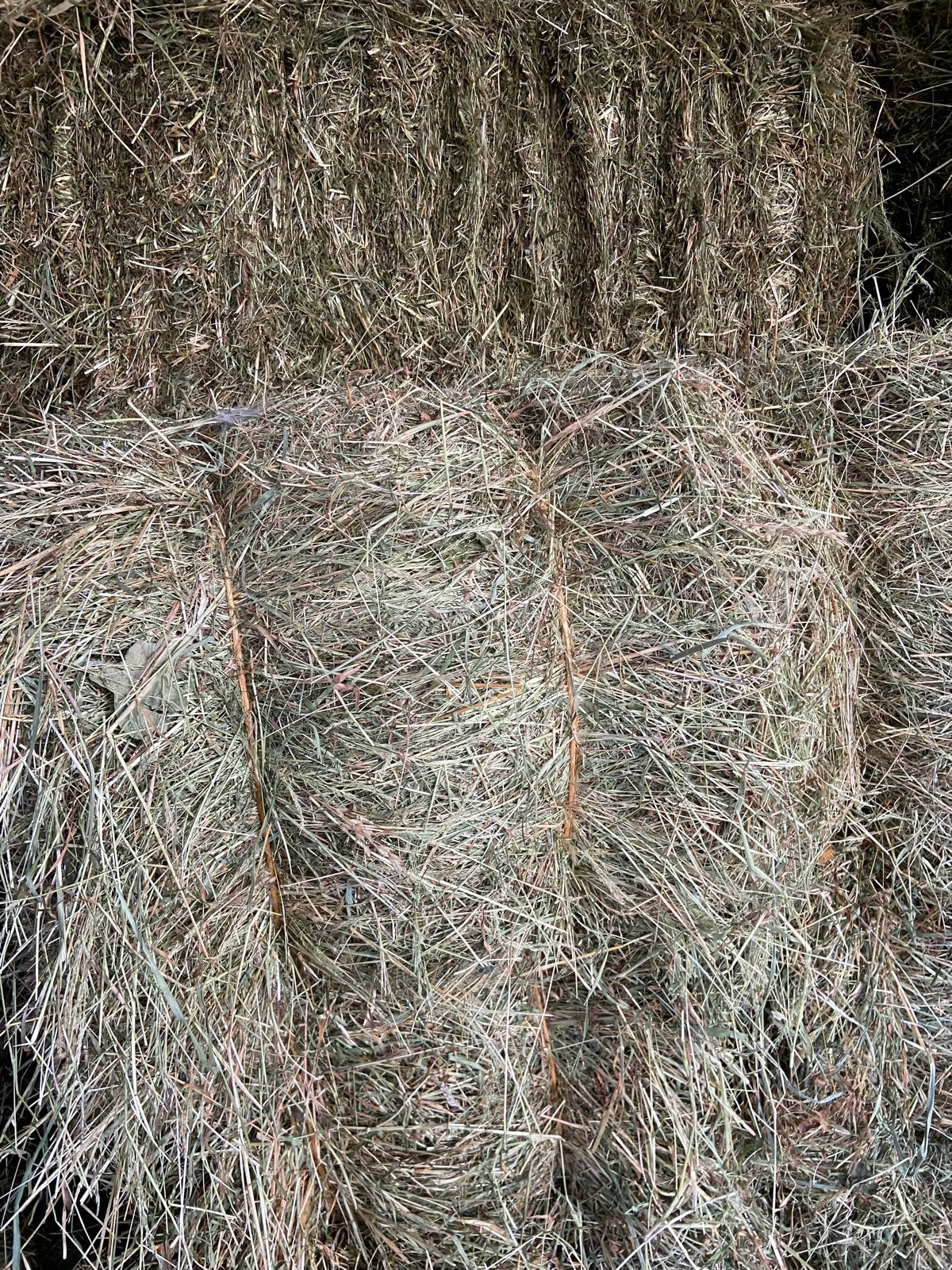 Mooi paardenhooi 1 e snede, Dieren en Toebehoren, Dierenvoeding, Ophalen of Verzenden