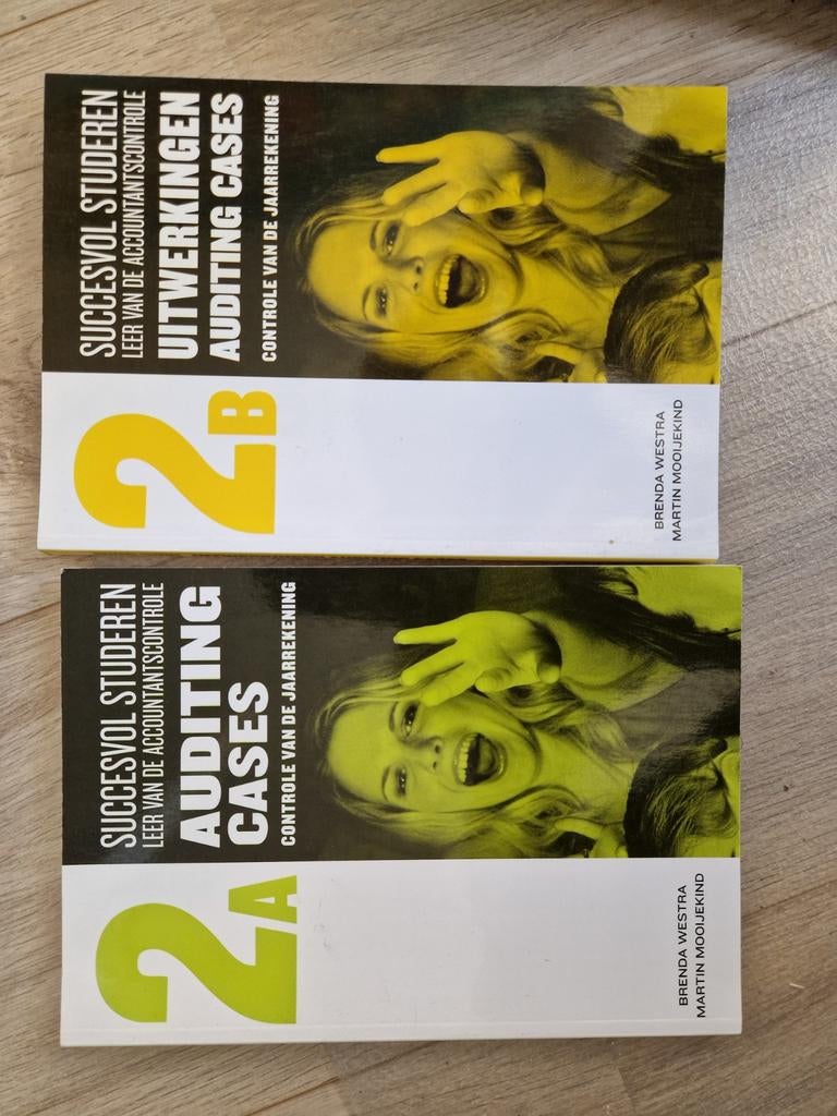 Breda Westra - Auditing Cases 2a en 2b, Boeken, Gelezen, Gamma, Brenda Westra, Martin Mooijekind, HBO