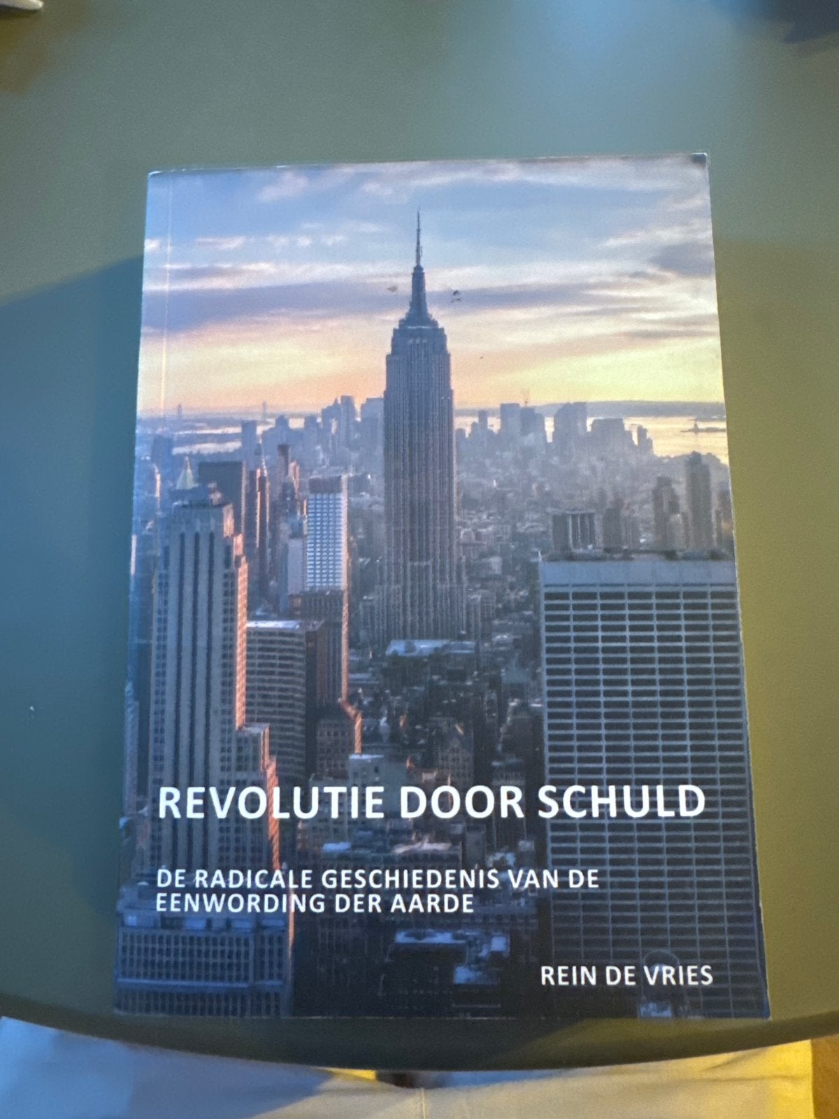 Revolutie door Schuld - Rein de Vries (Boek), Boeken, Ophalen of Verzenden, Zo goed als nieuw, Nederland