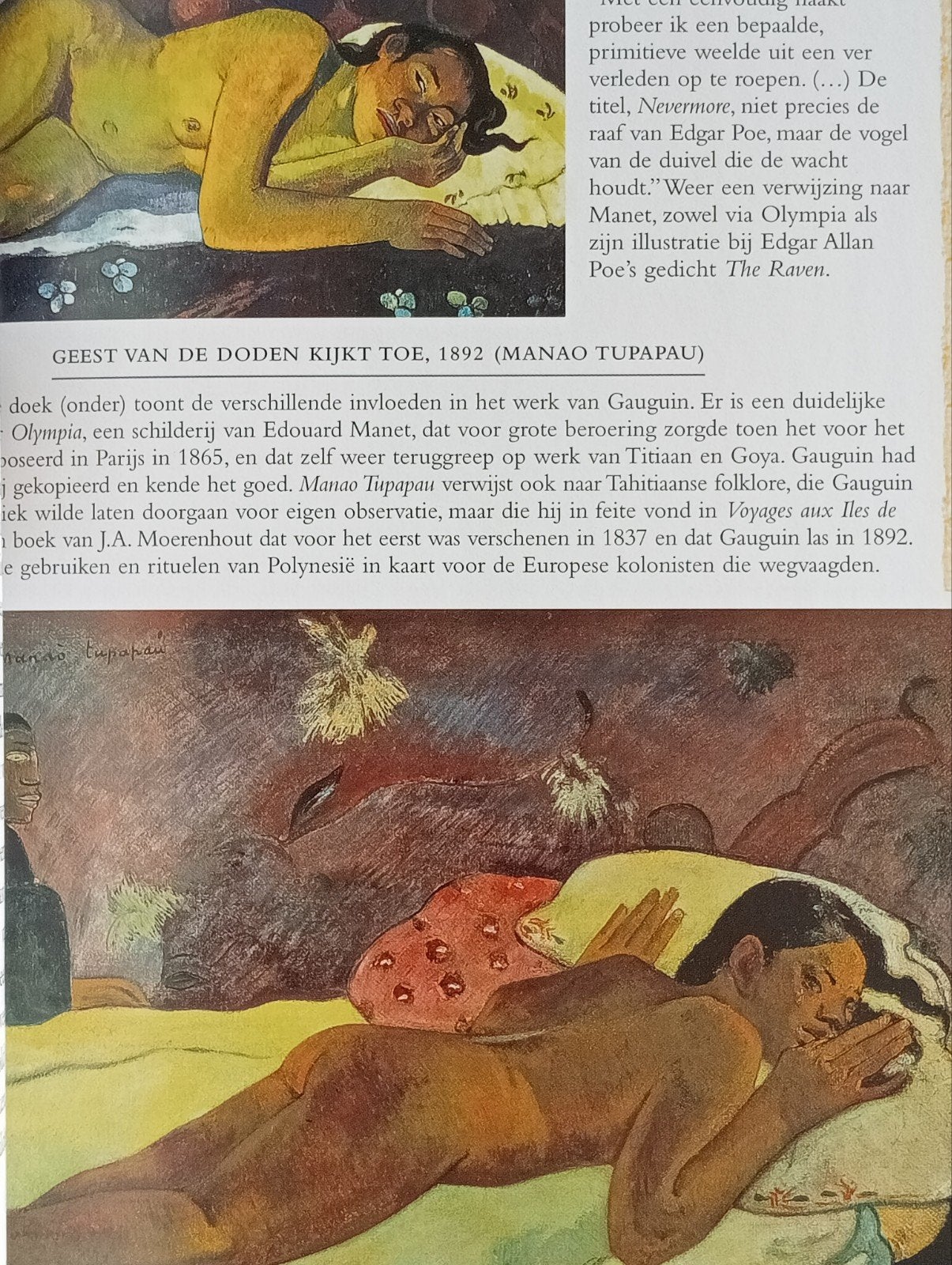 Paul Gauguin uitgave, Ophalen of Verzenden, Zo goed als nieuw, Schilder- en Tekenkunst, Paul Gauguin