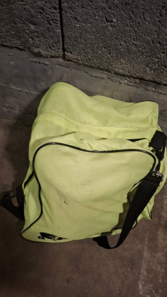 Salomon ski schoenen met tas, 160 tot 180 cm, Gebruikt, Schoenen, Skiën