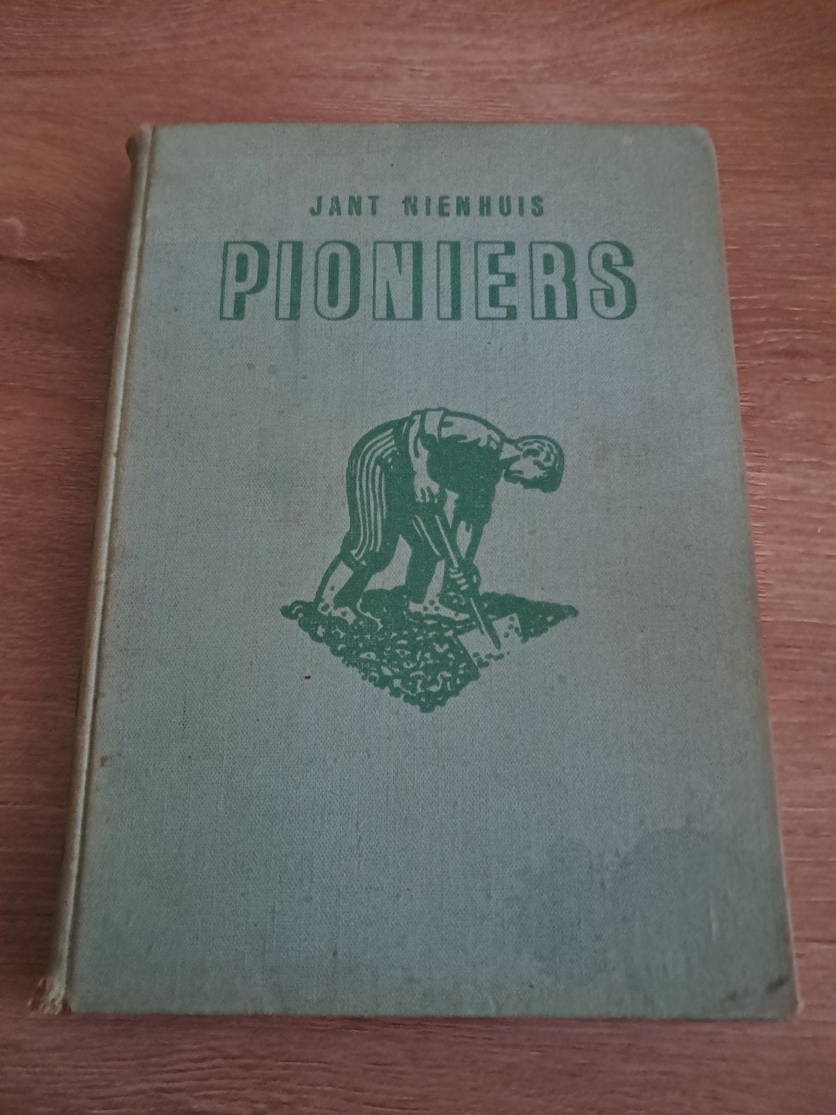 E3 Jant Nienhuis - Pioniers (Vintage Boek), Ophalen of Verzenden, Gelezen, Jant Nienhuis, Nederland