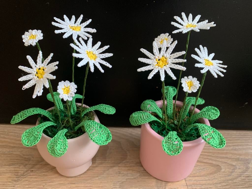Margriet plantje gehaakt, Hobby en Vrije tijd, Breien en Haken, Ophalen of Verzenden, Nieuw, Haken, Overige typen