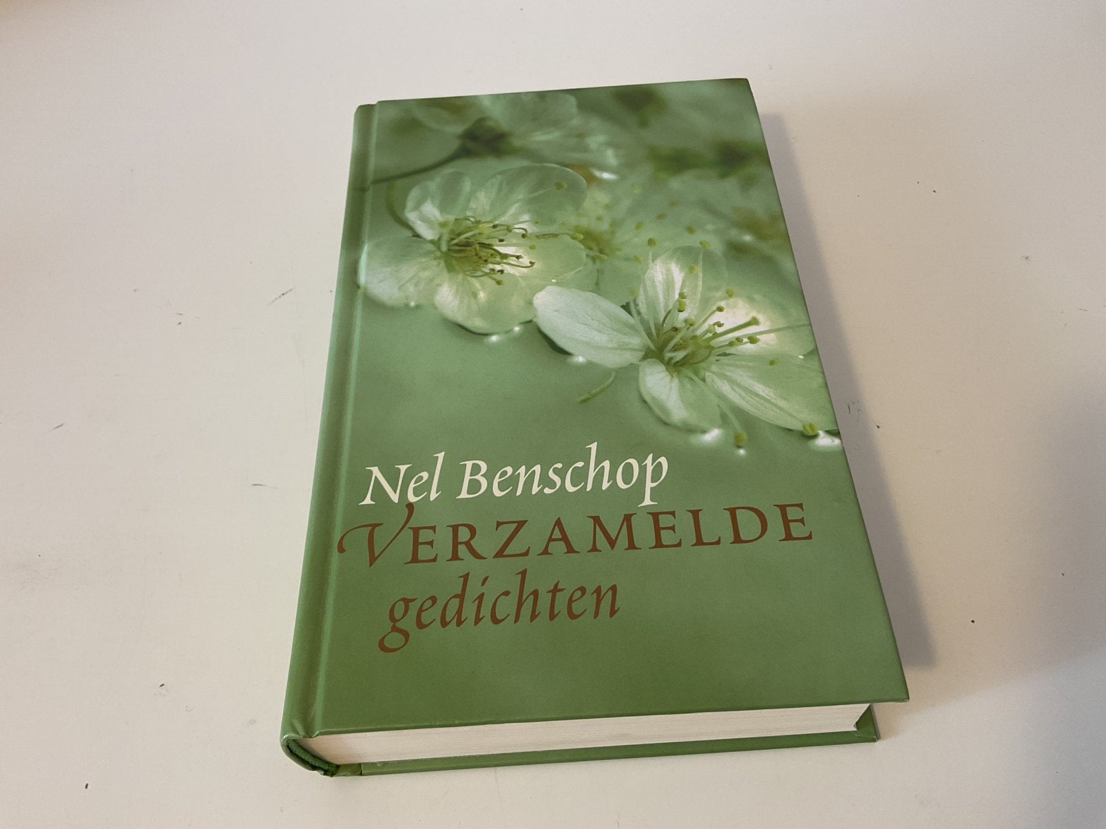 Nel Benschop - Verzamelde gedichten, als nieuw, Ophalen of Verzenden, Zo goed als nieuw, Nel Benschop