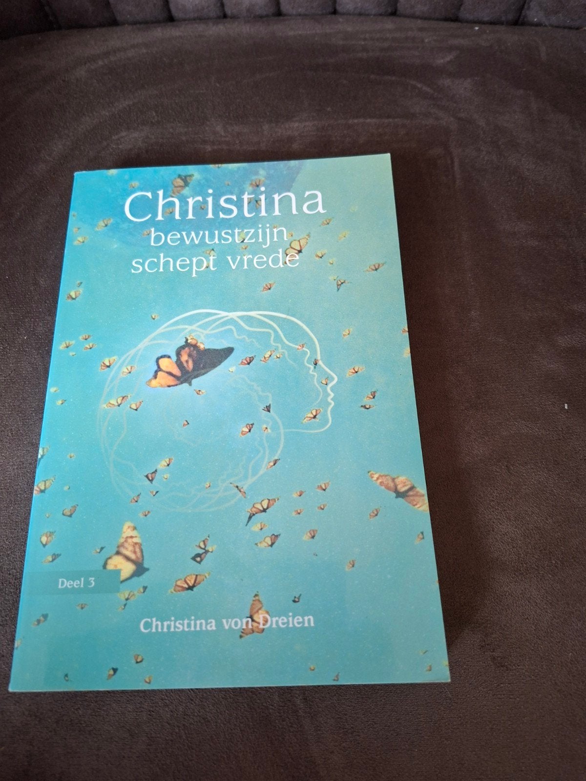 Christina: Bewustzijn Schept Vrede - Deel 3, Boeken, Achtergrond en Informatie, Spiritualiteit algemeen, Ophalen of Verzenden