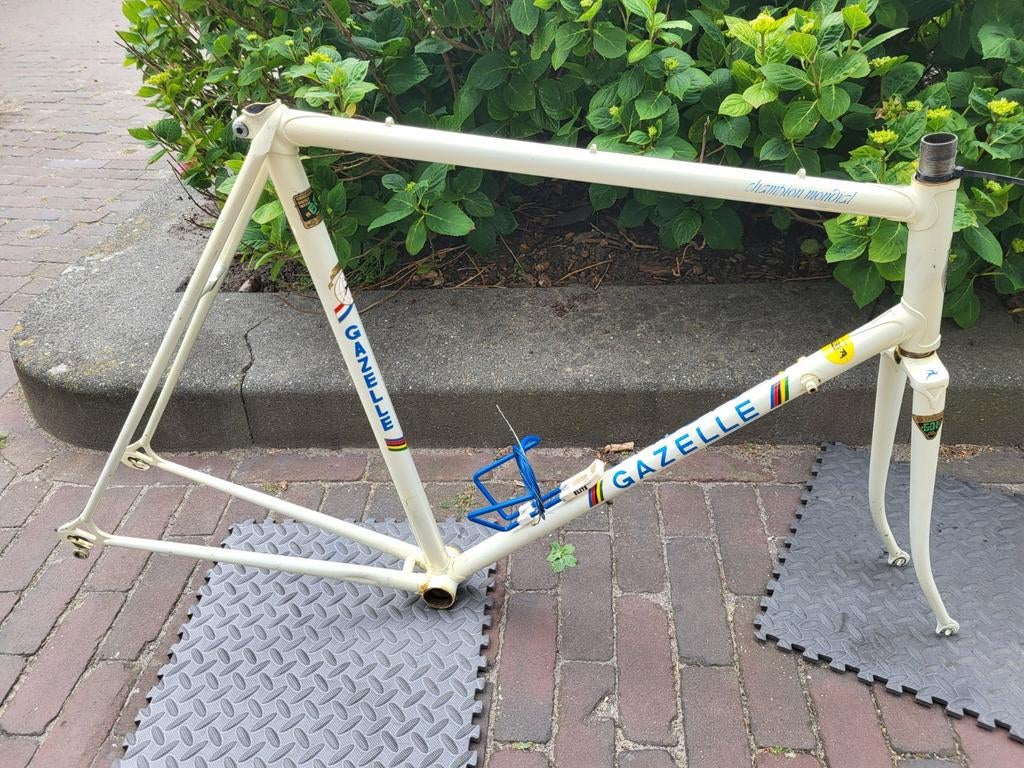 Gazelle Champion Mondial AB frame 59 cm 1982, Ophalen, Gebruikt, Gazelle, Staal