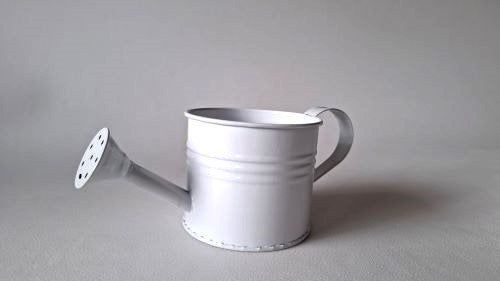 Gieter 9 cm p/st, Ophalen of Verzenden, Nieuw, Wit, Metaal