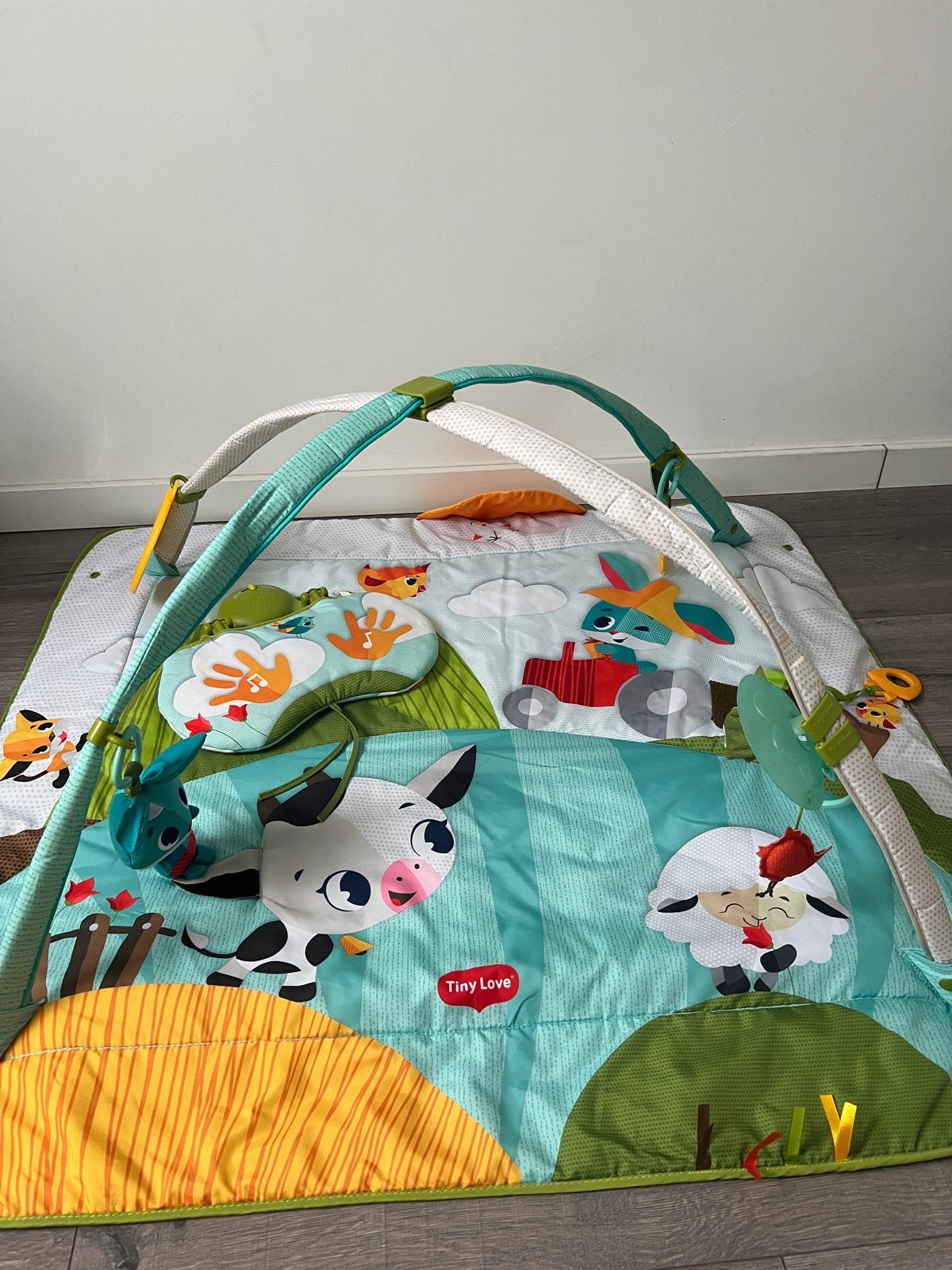 2 Speelmatten: Tiny Love & Fisher-Price (gewassen), Kinderen en Baby's, Speelgoed | Babyspeelgoed, Ophalen of Verzenden, Zo goed als nieuw
